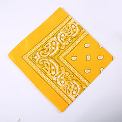 Unisex Hip-Hop Paisley Polyester Bandanas