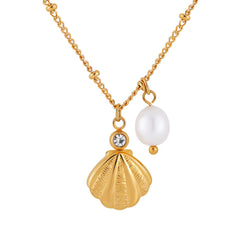 Collar de perlas de agua dulce con concha de acero de titanio