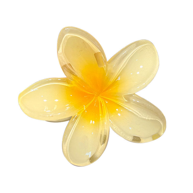Pinzas para el pelo de resina plástica con diseño de flores de estilo sencillo para mujer