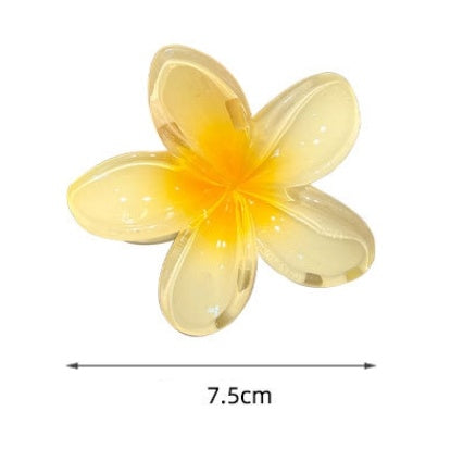 Pinzas para el pelo de resina plástica con diseño de flores de estilo sencillo para mujer