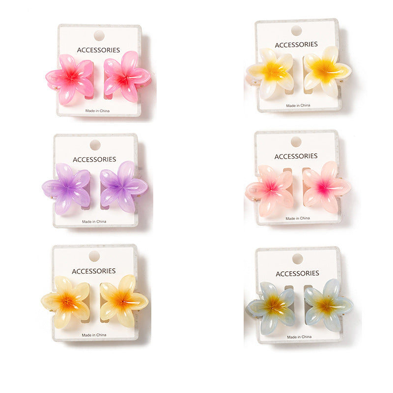 Pinzas para el pelo con diseño floral de resina plástica para mujer, barnizadas al horno