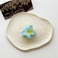Pinzas para el pelo de plástico con diseño de flores dulces y bonitas para mujer