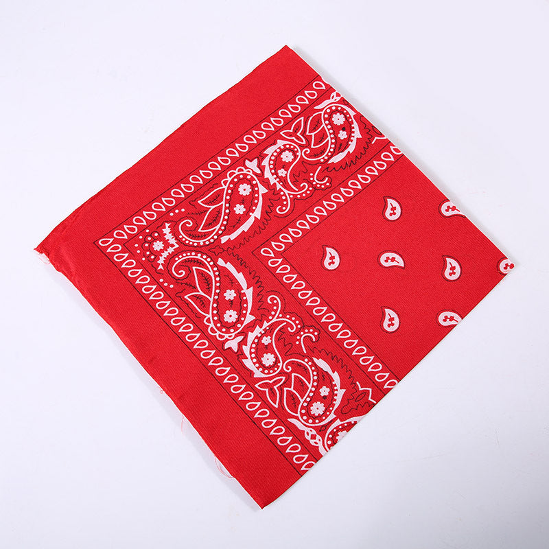 Unisex Hip-Hop Paisley Polyester Bandanas