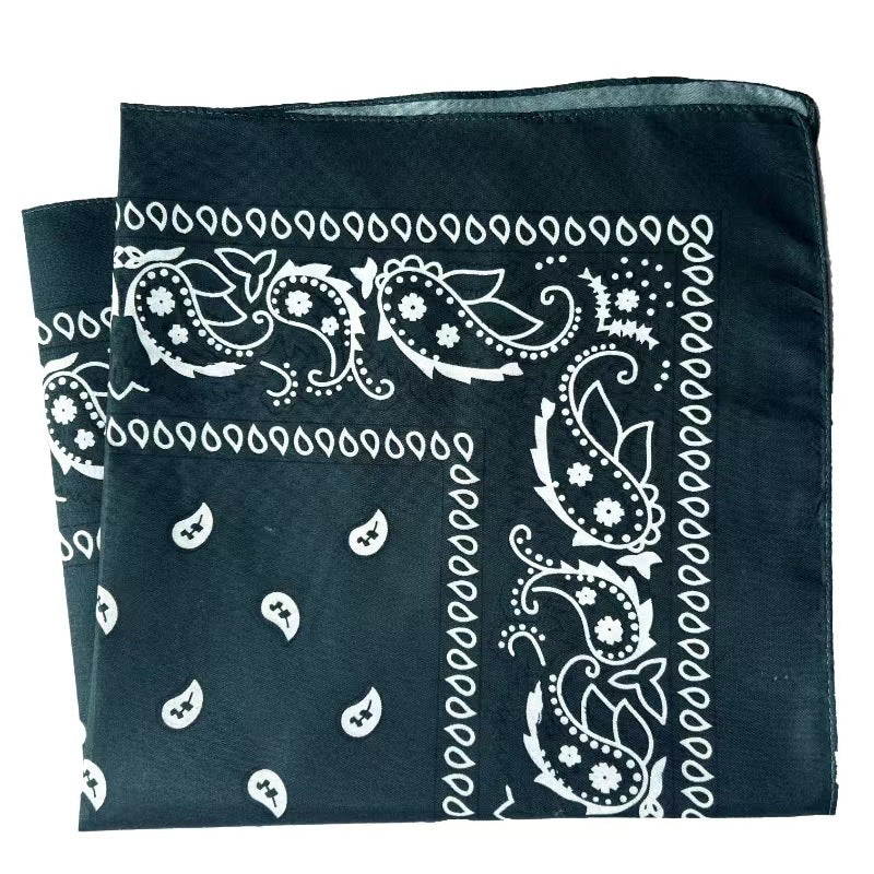 Unisex Hip-Hop Paisley Polyester Bandanas