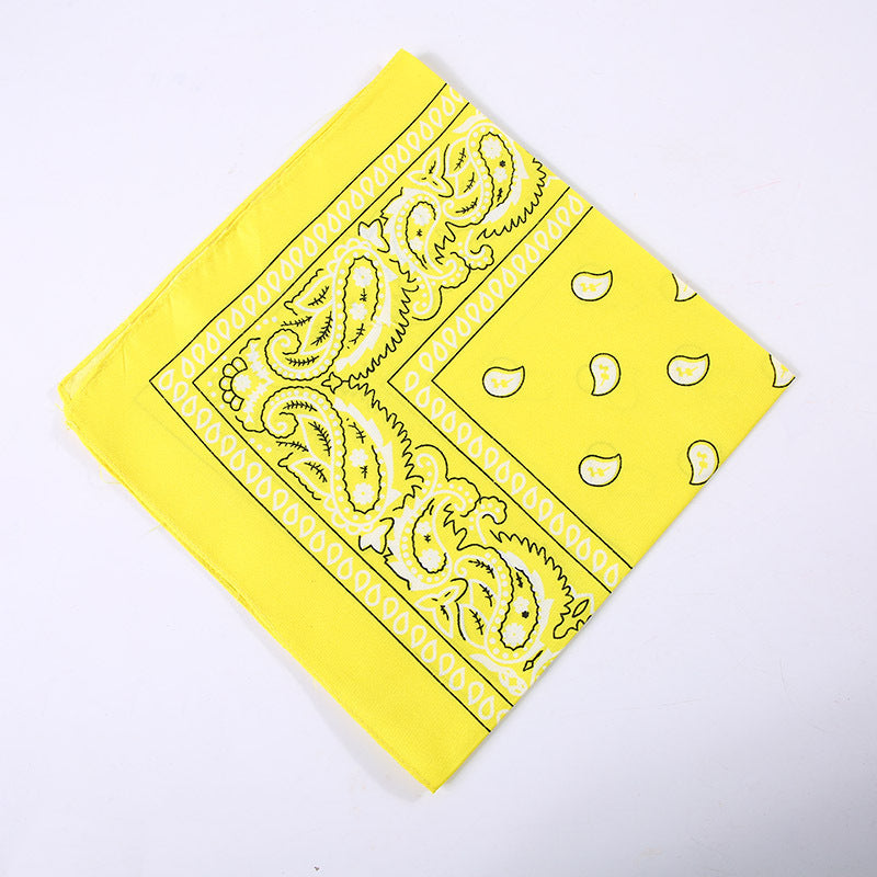 Unisex Hip-Hop Paisley Polyester Bandanas
