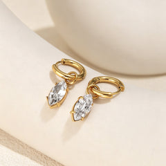 Stainless Steel Zircon Earrings Earrings